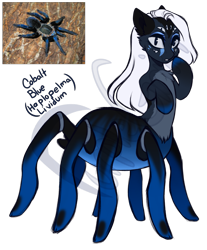 Size: 1351x1634 | Tagged: safe, artist:purplegrim40, derpibooru import, oc, oc only, monster pony, original species, pony, spiderpony, tarantula, simple background, transparent background