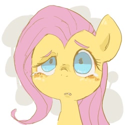 Size: 800x800 | Tagged: safe, artist:um89s, artist:ume89s, derpibooru import, fluttershy, pony, bust, female, mare, simple background, solo, teary eyes, white background