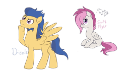 Size: 1760x1038 | Tagged: safe, artist:alicemaple, derpibooru import, edit, oc, oc only, oc:drizzle (alicemaple), oc:swift flight, pegasus, pony, brother and sister, cropped, duo, female, male, mare, muttonchops, not flash sentry, offspring, parent:rumble, parent:scootaloo, parents:rumbloo, siblings, simple background, sitting, stallion, transparent background