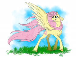 Size: 1920x1440 | Tagged: safe, artist:shadowsofazura, derpibooru import, fluttershy, pegasus, pony, deviantart watermark, female, grin, head turn, mare, obtrusive watermark, smiling, solo, spread wings, unshorn fetlocks, watermark, windswept mane, wings