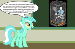 Size: 1023x677 | Tagged: safe, derpibooru import, lyra heartstrings, human, unicorn, amazon, cage, chalkboard, human studies101 with lyra, meme