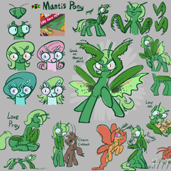 Size: 3000x3000 | Tagged: safe, artist:ja0822ck, derpibooru import, centipede, cockroach, insect, mantis, moth, world bug pony council