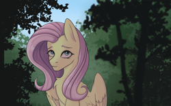 Size: 2560x1600 | Tagged: safe, artist:tanatos, derpibooru import, fluttershy, pegasus, background, chest fluff, cute, female, folded wings, forest, looking at you, mare, solo, tree, wings