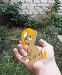 Size: 2898x3534 | Tagged: safe, artist:kvas!, derpibooru import, oc, oc only, oc:charm_kvas, unicorn, 1000 years in photoshop, garden, green eyes, hand, orange mane, photo, photoshop, smol, solo