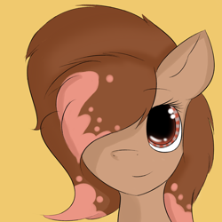 Size: 2000x2000 | Tagged: safe, artist:quickcast, derpibooru import, oc, oc only, earth pony, pony, bust, earth pony oc, female, hair over one eye, simple background, smiling, solo, yellow background