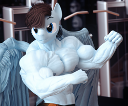 Size: 3600x3000 | Tagged: safe, artist:dashie116, derpibooru import, oc, oc only, oc:calm wind, anthro, pegasus, 3d, abs, biceps, bodybuilder, commission, deltoids, flexing, flexing muscles, gym, male, muscles, muscular male, pecs, solo, stallion