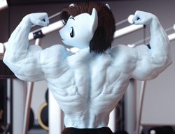 Size: 3900x3000 | Tagged: safe, artist:dashie116, derpibooru import, oc, oc only, oc:calm wind, anthro, 3d, back muscles, biceps, commission, daz studio, flexing, gym, male, muscles, muscular male, solo, stallion, wingless, wingless anthro