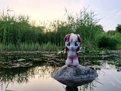 Size: 4032x3024 | Tagged: safe, artist:xeto_de, derpibooru import, oc, oc:vanilla cream, original species, pony, g4, female, filly, foal, irl, nature, photo, photography, plush pony, plushie, realistic