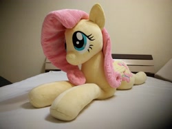 Size: 4032x3024 | Tagged: safe, artist:shindeeru, derpibooru import, fluttershy, pony, irl, life size, photo, plushie