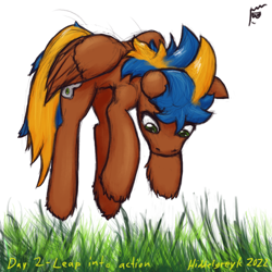 Size: 1000x1000 | Tagged: safe, artist:hiddelgreyk, derpibooru import, oc, oc only, pegasus, airborne, behaving like a fox, blue mane, brown coat, cutie mark, grass, green eyes, jumping, male, newbie artist training grounds, pegasus oc, pounce, simple background, stallion, tail, touch grass, transparent background, two toned mane, two toned tail