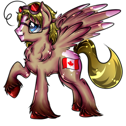 Size: 1000x1000 | Tagged: safe, artist:sirgalahadbw, derpibooru import, pegasus, pony, canada (hetalia), glasses, hetalia, matthew williams, ponified, raised hoof, raised leg, simple background, solo, transparent background