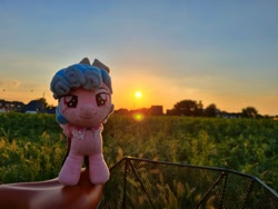 Size: 2048x1536 | Tagged: safe, artist:xeto_de, cozy glow, irl, plushie, sunset