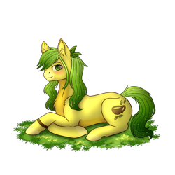 Size: 1080x1080 | Tagged: safe, artist:persiyk, derpibooru import, oc, oc:green tea, earth pony, pony, female, lying down, mare, prone, simple background, solo, transparent background