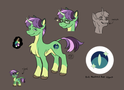 Size: 2200x1600 | Tagged: safe, artist:socialgutbrain777, derpibooru import, oc, oc:emerald halfmoon, pony, unicorn, alpha channel, coat markings, female, glasses, leonine tail, overbite, pixel art, pony town, ponysona, pubic fluff, reference sheet, simple background, socks (coat marking), solo, tail, unshorn fetlocks