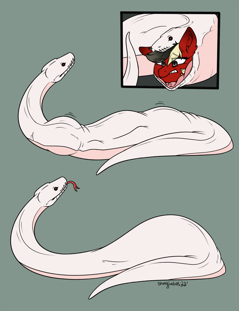 3141919 - questionable, artist:skeletongoat, oc, pony, snake, digestion,  ears, snake vore, soft vore, vore - Ponybooru