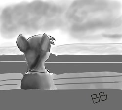 Size: 626x567 | Tagged: safe, artist:boxybrown, ponerpics import, earth pony, black and white, grayscale, monochrome, sunset