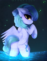 Size: 3216x4096 | Tagged: safe, artist:magnaluna, derpibooru import, oc, oc only, pegasus, pony, butt, female, heart, heart hoof, looking at you, looking back, looking back at you, mare, pegasus oc, plot, rear view, solo, underhoof