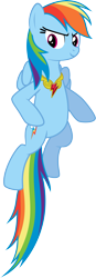 Size: 3000x8644 | Tagged: safe, artist:sakatagintoki117, derpibooru import, rainbow dash, pegasus, pony, princess twilight sparkle (episode), season 4, element of loyalty, female, floating, looking at you, mare, simple background, solo, transparent background, vector