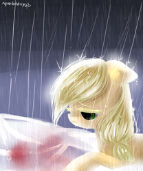 Size: 1000x1200 | Tagged: safe, artist:aquagalaxy, derpibooru import, applejack, earth pony, pony, applejack's parents, solo