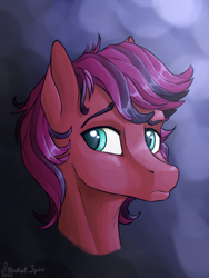 Size: 1800x2400 | Tagged: safe, artist:stardustspix, oc, oc only, oc:cherry (fotw), earth pony, pony, abstract background, bust, looking to side, looking to the left, male, portrait, raised eyebrows, red coat, stallion