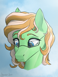 Size: 1800x2400 | Tagged: safe, artist:stardustspix, oc, oc only, oc:sapphie, pegasus, pony, abstract background, blue eyes, bust, cream mane, cute, female, glasses, green coat, looking down, mare, ocbetes, portrait, raised eyebrows, signature