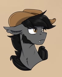 Size: 1085x1333 | Tagged: safe, artist:rutkotka, derpibooru import, oc, oc only, bat pony, pony, commission, cowboy hat, hat, simple background, solo, tan background, ych result