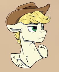 Size: 1025x1249 | Tagged: safe, artist:rutkotka, derpibooru import, oc, oc only, pegasus, pony, commission, cowboy hat, hat, simple background, solo, tan background, ych result