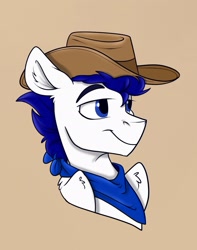 Size: 1141x1449 | Tagged: safe, artist:rutkotka, derpibooru import, oc, oc only, pegasus, pony, commission, cowboy hat, hat, simple background, solo, tan background, ych result