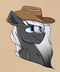 Size: 1145x1381 | Tagged: safe, artist:rutkotka, derpibooru import, oc, oc only, pegasus, pony, commission, cowboy hat, hat, simple background, solo, tan background, ych result