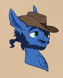 Size: 1197x1481 | Tagged: safe, artist:rutkotka, derpibooru import, oc, oc only, pony, commission, cowboy hat, hat, simple background, solo, tan background, ych result