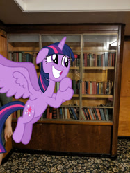 Size: 1280x1707 | Tagged: safe, artist:andoanimalia, artist:wynterstar93, derpibooru import, twilight sparkle, twilight sparkle (alicorn), alicorn, pony, book, bookshelf, female, irl, mare, photo, ponies in real life