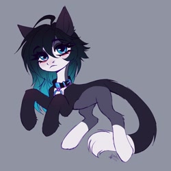 Size: 1800x1800 | Tagged: safe, artist:lomilykohi, derpibooru import, oc, oc only, cat, cat pony, original species, belt, cat tail, collar, collar ring, eye clipping through hair, eyebrows, eyebrows visible through hair, simple background, solo, tail