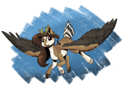 Size: 1280x905 | Tagged: safe, artist:darkhestur, derpibooru import, oc, oc only, pegasus, bandana, falcon wings, feather tail, flying, looking at you, missing cutie mark, pegasus oc, simple background, smiling