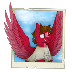 Size: 2300x2300 | Tagged: safe, artist:molars, derpibooru import, oc, oc only, oc:finn, earth pony, pegasus, chest fluff, chin fluff, facial hair, goatee, polaroid, raised eyebrow, shading, simple background, sky, smug, spread wings, transparent background, wings