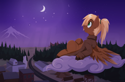 Size: 3000x1969 | Tagged: safe, artist:willoillo, derpibooru import, oc, oc only, oc:threnody, pegasus, pony, fallout equestria, fallout equestria: speak, cloud, fanfic art, moon, night, solo, stars