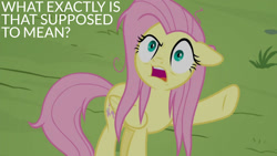 Size: 1280x720 | Tagged: safe, derpibooru import, edit, edited screencap, editor:quoterific, screencap, angel bunny, fluttershy, pegasus, pony, season 9, she talks to angel, spoiler:s09, body swap, ears, female, floppy ears, mare, messy mane, open mouth, solo, text