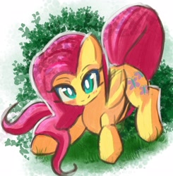 Size: 2480x2532 | Tagged: safe, artist:solid shrimp, derpibooru import, fluttershy, pegasus, pony, blushing, crouching, female, folded wings, grass, high res, looking at you, mare, outdoors, smiling, solo, three quarter view, wings