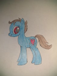 Size: 2448x3264 | Tagged: safe, anonymous artist, derpibooru import, oc, oc only, earth pony, pony, earth pony oc, solo, traditional art