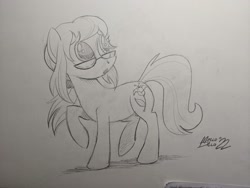 Size: 2048x1536 | Tagged: safe, artist:mellodillo, derpibooru import, oc, oc only, earth pony, pony, female, glasses, grayscale, mare, monochrome, pencil drawing, solo, traditional art