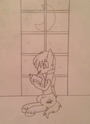 Size: 1536x2112 | Tagged: safe, artist:lunahazacookie, derpibooru import, oc, oc only, pegasus, pony, crescent moon, drawing, indoors, lineart, male, moon, mouth hold, pegasus oc, pencil, solo, stallion, traditional art, unshorn fetlocks, wings