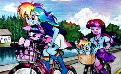 Size: 2048x1264 | Tagged: safe, artist:liaaqila, derpibooru import, rainbow dash, twilight sparkle, twilight sparkle (alicorn), alicorn, human, pony, equestria girls, basket, bicycle, canada, exercise, eyes closed, female, human ponidox, lesbian, one eye closed, ottawa, petting, road, self paradox, self ponidox, shipping, smiling, tongue, tongue out, twidash, water, wink