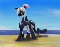 Size: 2048x1600 | Tagged: safe, derpibooru import, oc, oc only, oc:toy joy, orca, orca pony, original species, pony, whale, beach, ocean, sky, solo, water