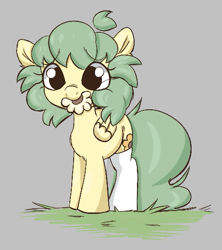 Size: 467x526 | Tagged: safe, artist:mushy, ponerpics import, oc, oc only, pegasus, pony, aggie.io, clothes, female, flower, grass, mare, mouth hold, simple background, smiling, socks