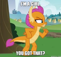 Size: 600x568 | Tagged: safe, derpibooru import, edit, edited screencap, screencap, smolder, dragon, father knows beast, caption, dragoness, female, image macro, meme, memeful.com, solo, text