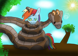 Size: 1170x850 | Tagged: safe, artist:kinipharian, derpibooru import, rainbow dash, pegasus, pony, coils, duo, female, hypno eyes, kaa, kaa eyes, male, mare, outdoors, smiling