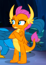 Size: 323x460 | Tagged: safe, derpibooru import, screencap, gallus, smolder, dragon, griffon, uprooted, cropped, crossed arms, dragoness, female, offscreen character, raised eyebrow, solo focus