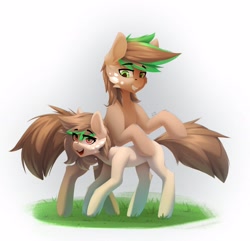 Size: 2313x2230 | Tagged: safe, artist:n_thing, derpibooru import, oc, oc only, earth pony, pony, duo, earth pony oc, grass
