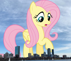 Size: 1200x1025 | Tagged: safe, artist:jaredking779, artist:xpesifeindx, derpibooru import, fluttershy, pegasus, pony, boston, female, giant pegasus, giant pony, giantess, giantshy, highrise ponies, irl, macro, mare, massachusetts, mega giant, photo, ponies in real life, raised hoof, raised leg, solo