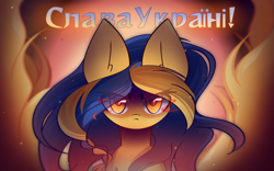 Size: 2400x1500 | Tagged: safe, artist:miryelis, derpibooru import, oc, oc only, oc:ukraine, earth pony, pony, angry, big ears, current events, ears, fire, glowing, glowing eyes, grimcute, long hair, looking at you, nation ponies, serious, solo, text, ukraine