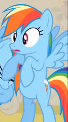 Size: 406x728 | Tagged: safe, derpibooru import, screencap, rainbow dash, changeling, pony, a canterlot wedding, bipedal, cropped, disguise, disguised changeling, solo, solo focus